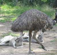 Bundoora Park - Tourism Adelaide