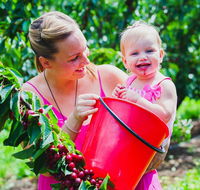 Cherryhill Orchards - Tourism Adelaide