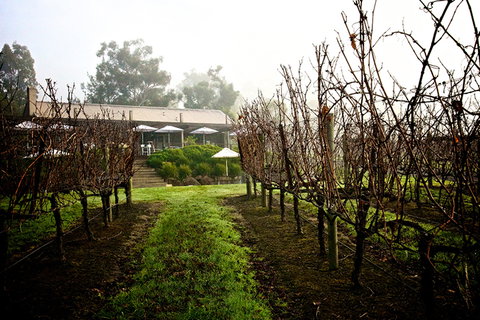 GREENSTONE VINEYARDS - Tourism Adelaide 4