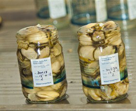 Broadwater Oysters - Tourism Adelaide 0