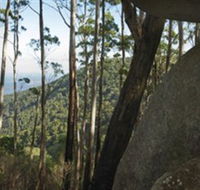 Gulaga National Park - Tourism Adelaide