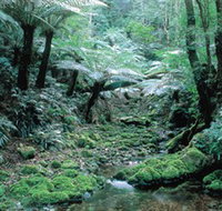 Deua National Park - Tourism Adelaide