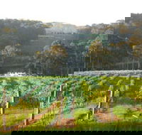 Tilba Valley Wines - Tourism Adelaide