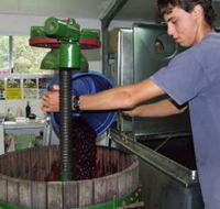 Fern Gully Winery - Tourism Adelaide