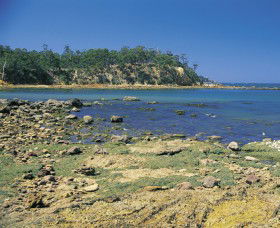 Aslings Beach - Tourism Adelaide 0