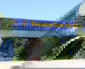 Treasures From The Deep - Opal And Shell Museum - Tourism Adelaide 0