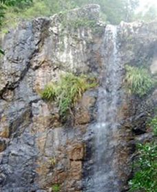 Wedding Bells Forest Drive - Tourism Adelaide 0