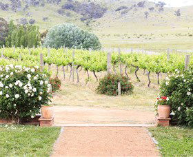 Brindabella Hills Winery - Tourism Adelaide 0