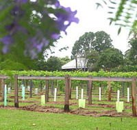 Douglas Vale Historic Homestead  Vineyard - Tourism Adelaide