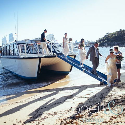 H2O Maxi Taxis - Tourism Adelaide 3