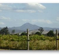 Ironbark Ridge Vineyard - Tourism Adelaide