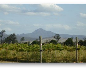 Ironbark Ridge Vineyard - Tourism Adelaide 0