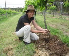 Twisted Gum Wines - Tourism Adelaide 2