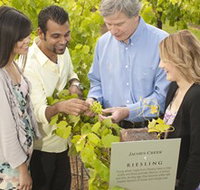 Jacob's Creek Vineyard Tour - Tourism Adelaide