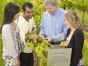 Jacob's Creek Vineyard Tour - Tourism Adelaide 0