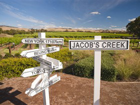 Jacob's Creek Vineyard Tour - Tourism Adelaide 1