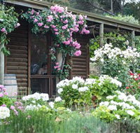 Lavina Wines - Tourism Adelaide