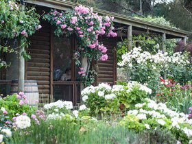 Lavina Wines - Tourism Adelaide 0