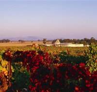 Morris Wines - Tourism Adelaide