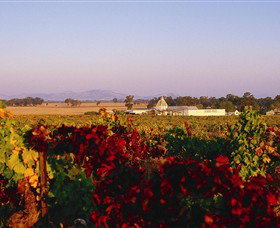 Morris Wines - Tourism Adelaide 0