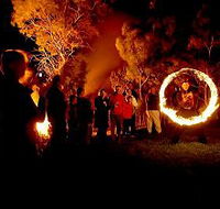 Coal Valley Vineyard - Tourism Adelaide