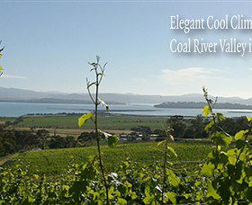 Coal Valley Vineyard - Tourism Adelaide 5