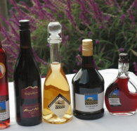 Hartzview Vineyard Heritage Pickers Hut Village - Tourism Adelaide
