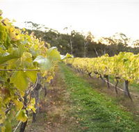 Harcourt Valley Vineyards