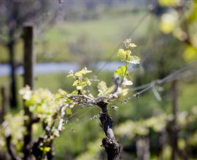 Avonmore ACT Tourism Adelaide