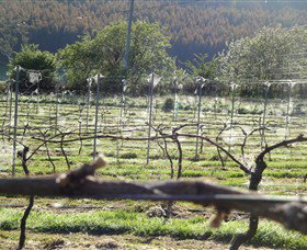 Red Hills TAS Tourism Adelaide