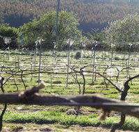 Three Willows Vineyard - Tourism Adelaide