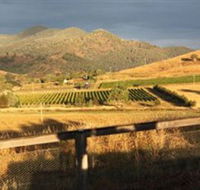 Optimiste Wines - Tourism Adelaide