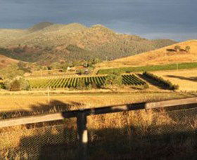 Optimiste Wines - Tourism Adelaide 0