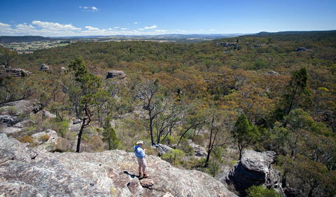 Munghorn Gap Nature Reserve - Tourism Adelaide 1