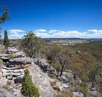 Munghorn Gap Nature Reserve - Tourism Adelaide