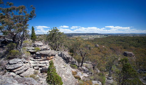 Munghorn Gap Nature Reserve - Tourism Adelaide 0