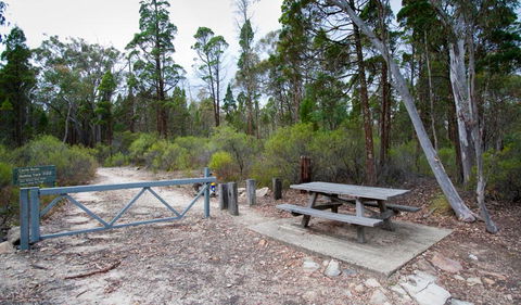 Munghorn Gap Nature Reserve - Tourism Adelaide 2