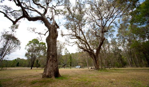 Munghorn Gap Nature Reserve - Tourism Adelaide 3