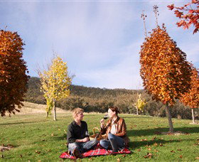 Gapsted Wines - Tourism Adelaide 5