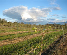 Flyfaire Wines - Tourism Adelaide 7