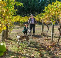 Little River Wines of Taggerty - Tourism Adelaide