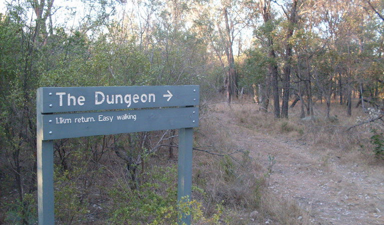Ashford NSW Tourism Adelaide