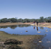 Camel Soak - Tourism Adelaide
