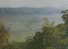 Mount Granya State Park - Tourism Adelaide 0