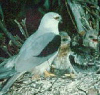 Bushy Park Wetlands - Tourism Adelaide