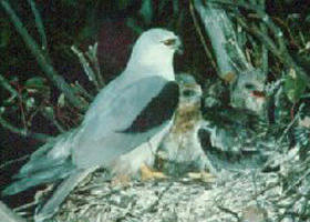 Bushy Park Wetlands - Tourism Adelaide 0