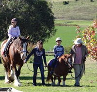 Bathurst Farm Experience - Tourism Adelaide