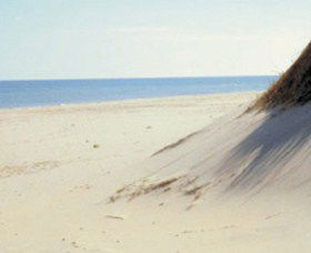 Lilley's Beach - Tourism Adelaide 2