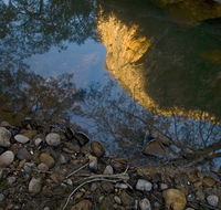 Abercrombie Karst Conservation Reserve - Tourism Adelaide