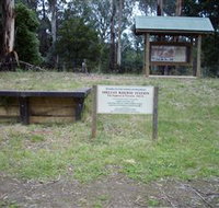 Shelley Forest Camp - Tourism Adelaide